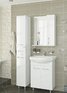 Мебель для ванной Francesca Eco Plus 60